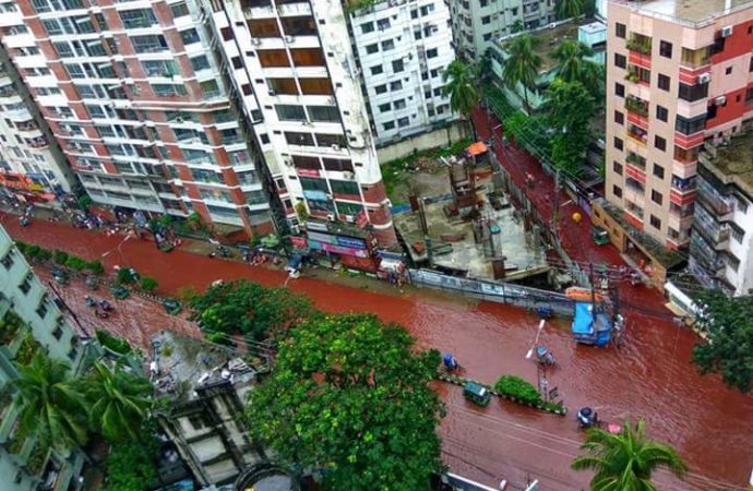 Rivers of blood flow on Dhaka streets after Eid sacrifices (with video)